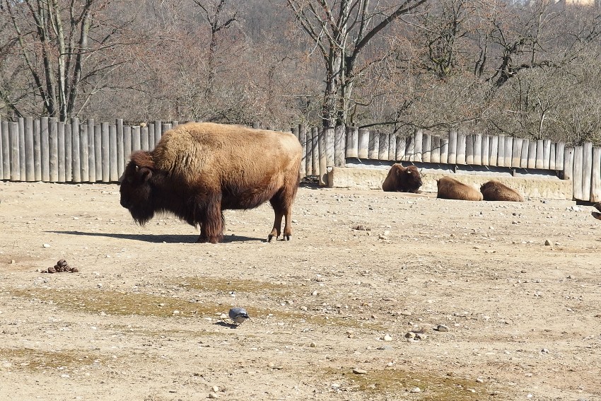 7. dubna 2018 9:36:34