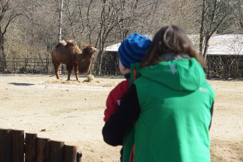 7. dubna 2018 9:37:25