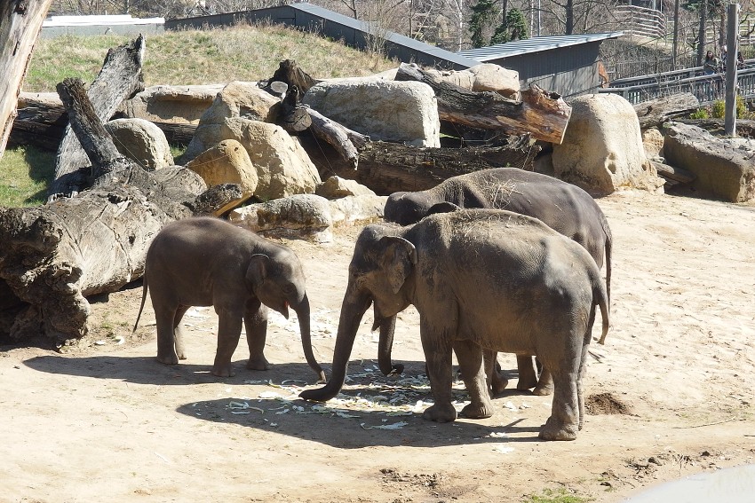 7. dubna 2018 10:29:23