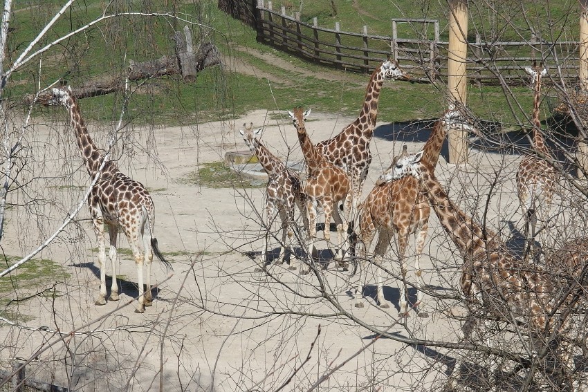 7. dubna 2018 10:45:01