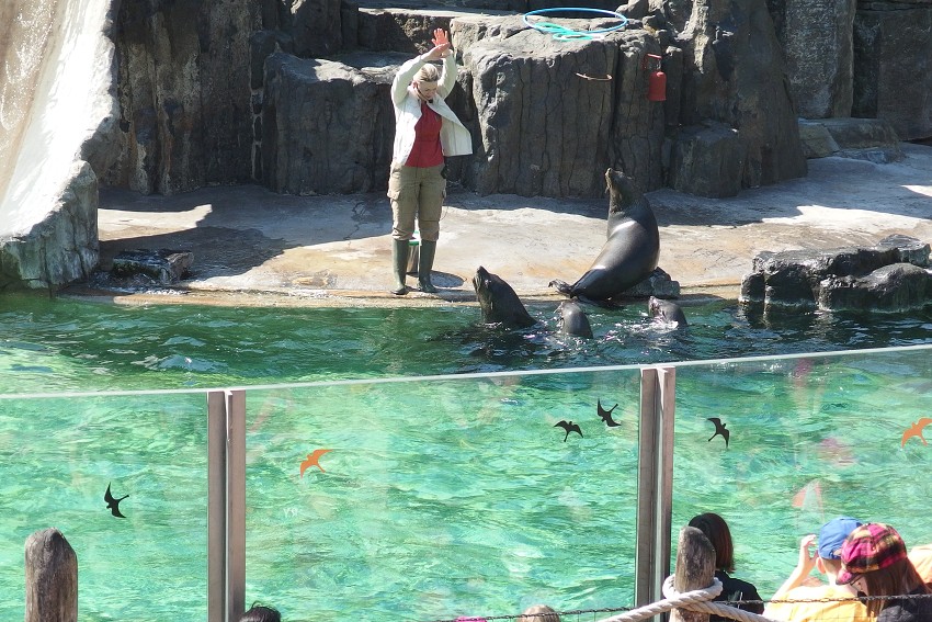 7. dubna 2018 12:43:43