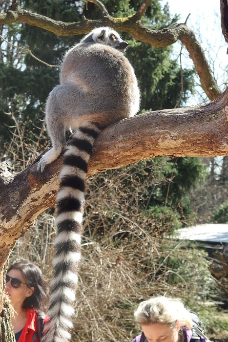 7. dubna 2018 13:36:47