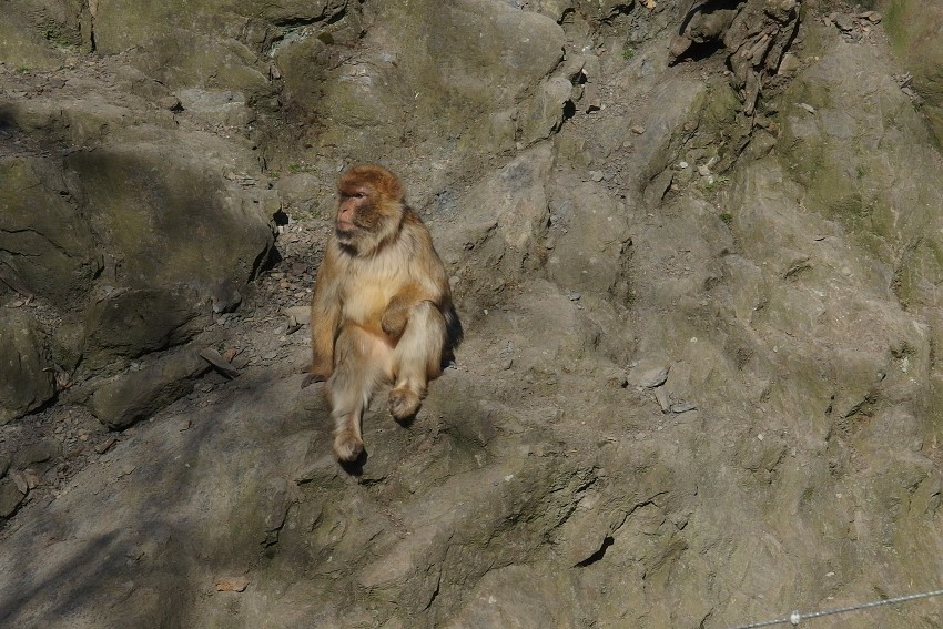 7. dubna 2018 14:57:20