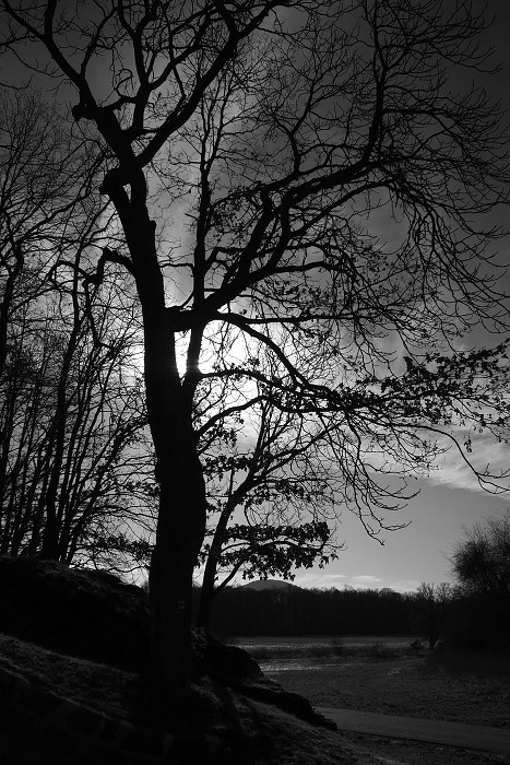 14. března 2020 15:34:34 / Camera Make: OLYMPUS CORPORATION     Model: E-M10MarkII      