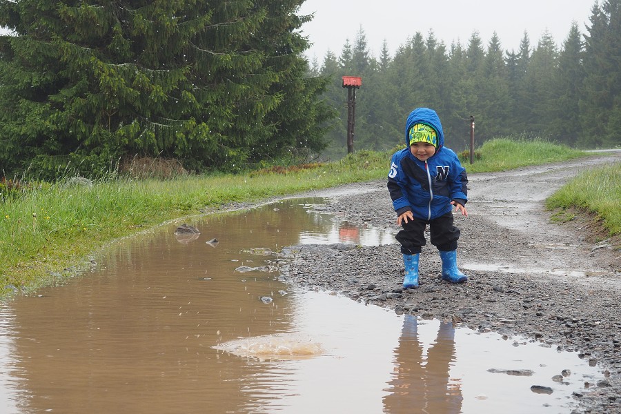 6. června 2020 11:37:32 / Camera Make: OLYMPUS CORPORATION     Model: E-M10MarkII      