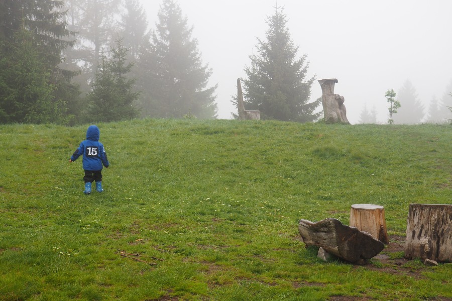 6. června 2020 12:38:56 / Camera Make: OLYMPUS CORPORATION     Model: E-M10MarkII      