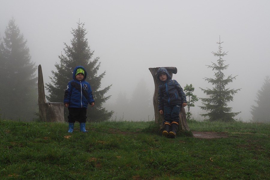 6. června 2020 12:53:03 / Camera Make: OLYMPUS CORPORATION     Model: E-M10MarkII      