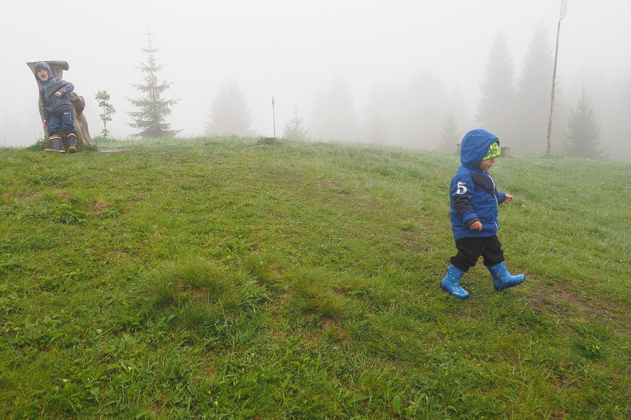 6. června 2020 12:53:19 / Camera Make: OLYMPUS CORPORATION     Model: E-M10MarkII      