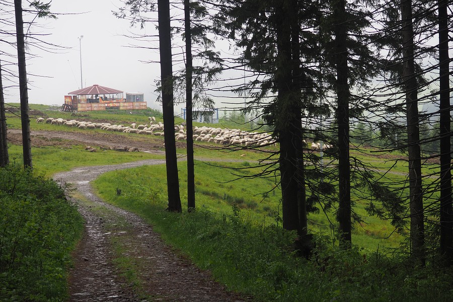 6. června 2020 15:52:44 / Camera Make: OLYMPUS CORPORATION     Model: E-M10MarkII      