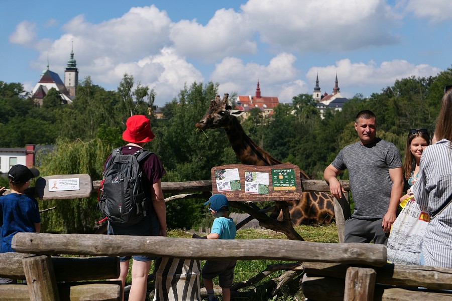 Camera Make: Panasonic Model: DC-LX100M2 / Created: 26. června 2022 10:20:43 