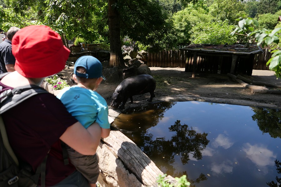 Camera Make: Panasonic Model: DC-LX100M2 / Created: 26. června 2022 11:45:07 