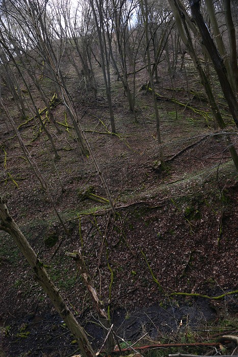 Vytvořeno: 25.03.2023 10:31 / Výrobce: Panasonic / Model: DC-LX100M2 