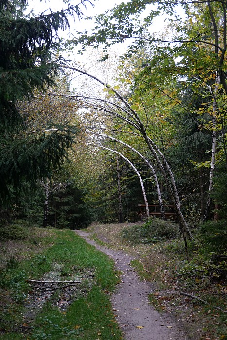 Vytvořeno: 20.10.2023 16:22 / Výrobce: Panasonic / Model: DC-LX100M2 