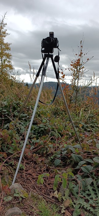Vytvořeno: 21.10.2023 11:55 / Výrobce: DOOGEE / Model: S99 