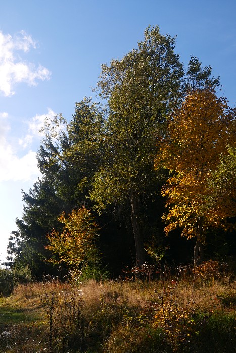 Vytvořeno: 21.10.2023 16:03 / Výrobce: Panasonic / Model: DC-LX100M2 