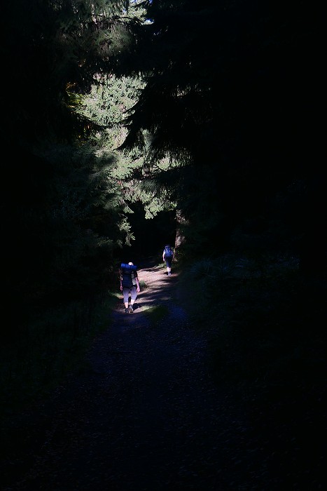 Vytvořeno: 21.10.2023 16:18 / Výrobce: Panasonic / Model: DC-LX100M2 