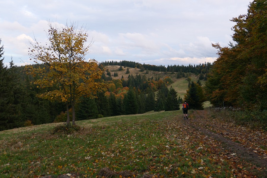 Vytvořeno: 21.10.2023 17:13 / Výrobce: Panasonic / Model: DC-LX100M2 