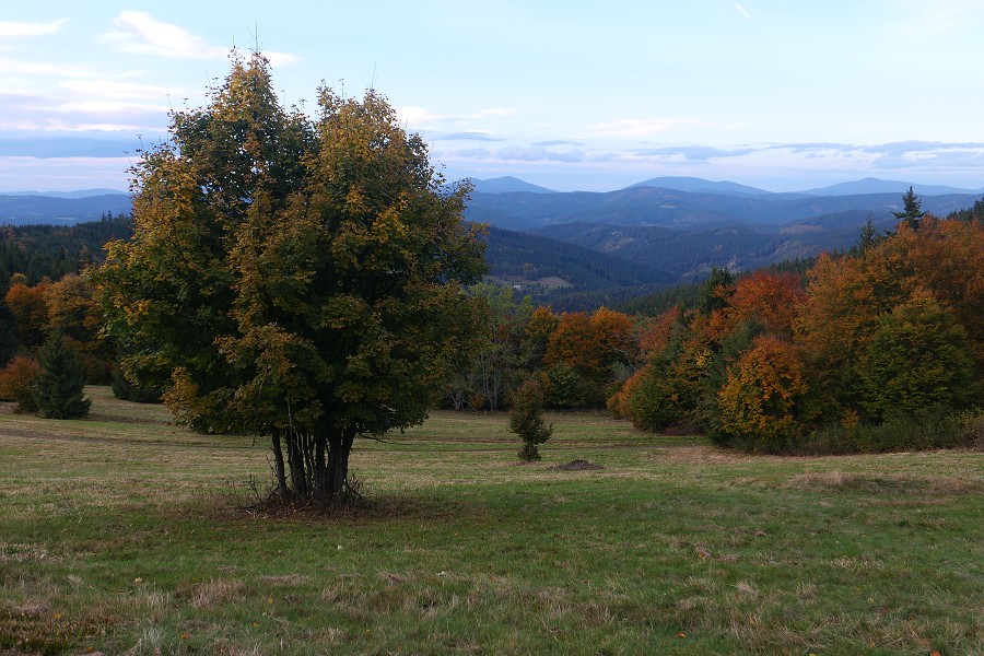 Vytvořeno: 21.10.2023 17:21 / Výrobce: Panasonic / Model: DC-LX100M2 