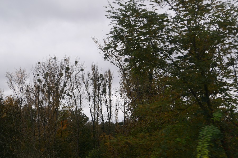 Vytvořeno: 22.10.2023 13:28 / Výrobce: Panasonic / Model: DC-LX100M2 